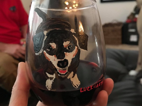 Pet portait