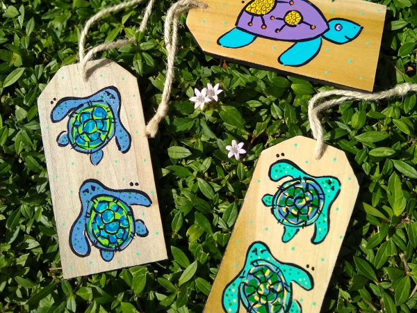 Sea turtles