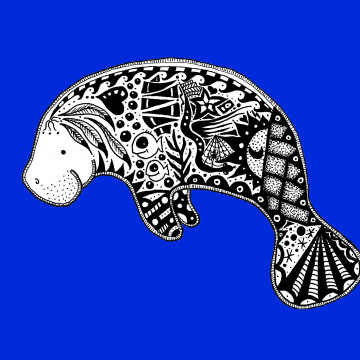 Animal Illustrations