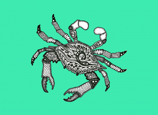 Crab white claws