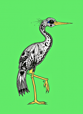 Green Egret