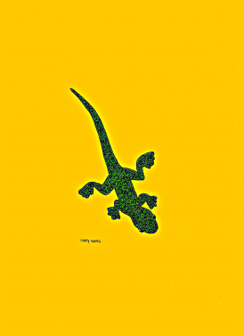 Florida Anole