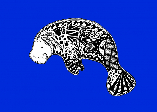 Manatee