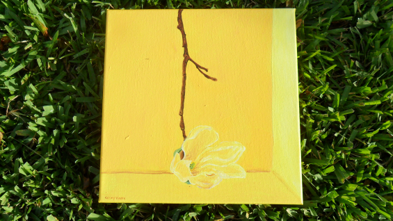yellow magnolia