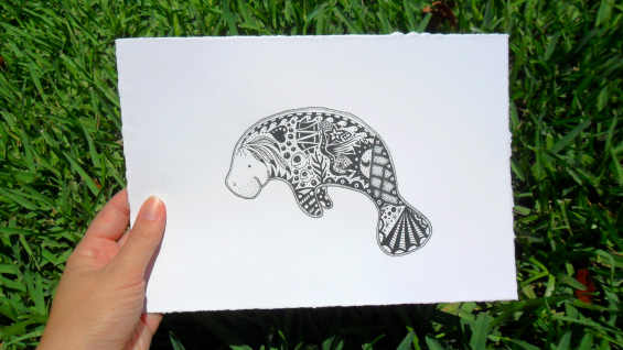 Florida Manatee