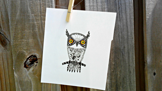 Screech Owl