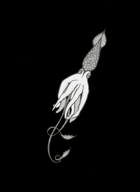 Deep Sea Squid