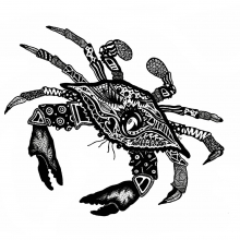 Crab crabbig.jpg