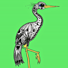 Green Egret egretgreen.jpg