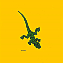 Florida Anole fl_anoleoj.jpg