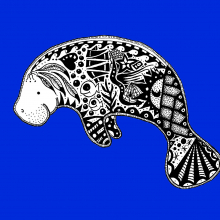 Manatee manatee3.jpg