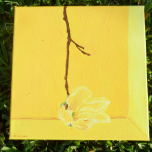 yellow magnolia sam_3240.jpg