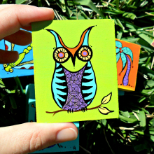 little owl sam_3774.jpg