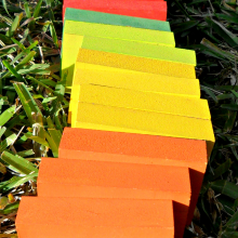 rainbow sam_3919.jpg