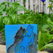 blue wolf sam_4303.jpg