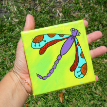 dragonfly sam_4310.jpg
