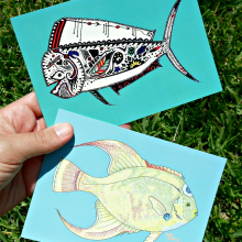 Fish Postcards sam_5295.jpg