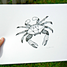 Maryland Blue Crab sam_5599.jpg