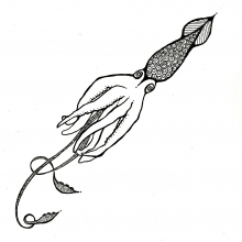 Squid squid.jpg