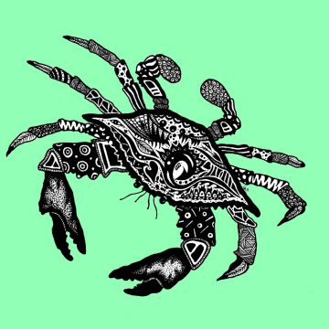 Green Crab