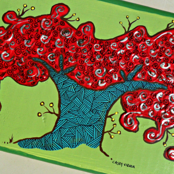 royal poinciana tree on wood block