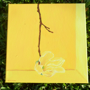 yellow magnolia yellow magnolia