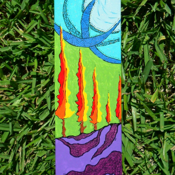 Tuscan Trees Tuscan Trees