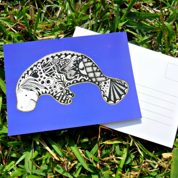 Manatee postcard